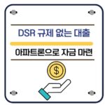 DSR 규제 없는 대출