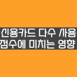 신용카드 다수 사용